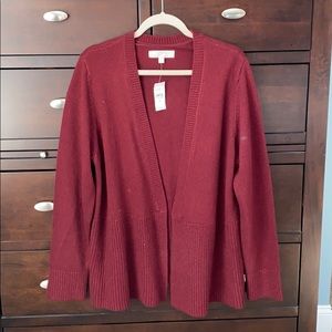 NWT Loft sweater